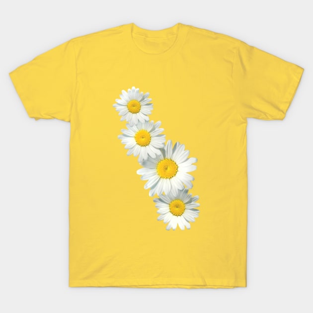 Shasta Daisies T-Shirt by TinaGraphics